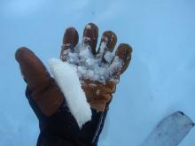 Thin, breakable melt freeze crust over dry snow on E aspect under forest canopy.