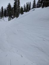 Wind scouring on a test slope at Elephant's Hump.