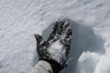 Loose facets under the melt freeze surface crust.