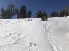 Breakable crust, sastrugi, wind blown snow and near surface facets