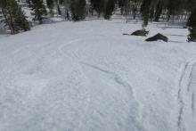 Previous ski tracks indicating snow softening earlier this week. 