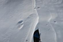 Near tree line north facing terrain around 8000 feet still held some cold wintry snow.