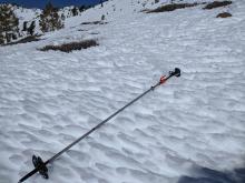 Uneven sun-sculpted surface on a ridge at about 8800 ft.