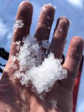 Large, relatively wet, icy grains found on the surface of an east/southeast facing slope in a relatively open area below treeline.