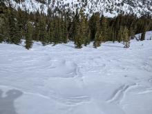 Wind scoured firm surfaces on open areas near and above treeline