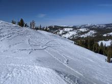 Raised tracks and firm scoured surfaces on an exposed NE aspect at 8200 ft.
