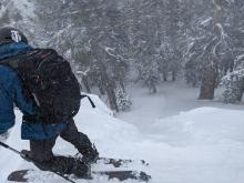 Loose dry avalanche on a steep slope sheltered from the wind that entrained the new snow