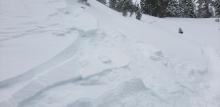 Two crowns from single ski cut.   Release occured from above skier (near,) and below (far.). 