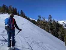 Wind scouring on the ridge.