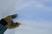 Looking at the still stout crust. The weak snow above was the active weak layer in these tests. 