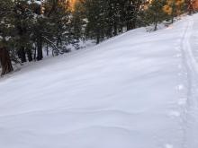 Open area at lower elevations that looked like may have experienced rain on snow or rapid surface melt