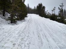 Trace of new snow at the trailhead at 10 am.