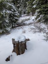 Shallow snow barely covering obstacles on a S aspect around 7000 ft.