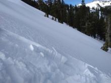 6 inch deep soft slab of wind drifted snow sitting on soft snow on a N aspect at 7840 ft. 