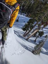 Some signs of warming snow in the form of small roller balls on a small E aspect at 7400 ft.