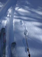 Soft snow on a shady and sheltered below treeline N aspect