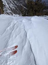 Wind features were widespread on exposed slopes in near and above treeline terrain