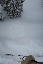 Unconsolidated powder on a sheltered north slope.