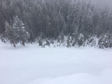 Avalanche debris ran downslope through the first set of trees.