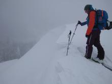 Developing and fragile new cornices.