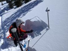 ECTP 15 on a N facing below treeline slope. The test failed on a layer of buried surface hoar.