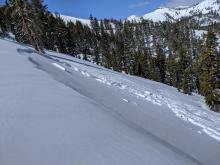 Wind slab avalanche that failed on a buried surface hoar layer on Wed. March 25