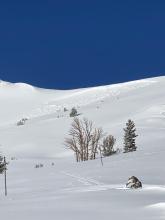 Thimble Peak Avalanche Path 3/27/20