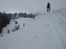 Small wind slab triggered by ski cut on N end of Wildflower Ridge.