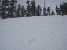 Rollerballs on E aspect terrain from snow surface heating during minor sun breaks.