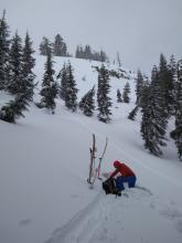 Pit near 3/27 snowboard triggered persistent slab avalanche (NE aspect, ~7,800') with ECTN results.