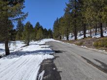 One of the pavement patches in the first few miles of the Jackson Meadows Rd. 