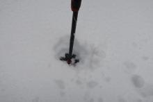 Only about 4 inches of new snow below tree line at around noon. 