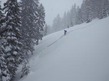 Intentionally triggered storm slab avalanche with 12-18 inch crown, below treeline NE aspect. (Different storm slab than the one in the video.)