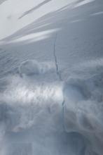 North facing below tree line steep slope at 7500' showing storm slab cracking. 