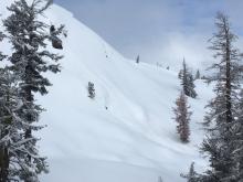 Natural loose wet avalanche on north aspect, 7500'.