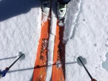 Breakable crust on top of wet snow was widespread on northerly aspects. 