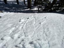 Easily triggered roller balls and pinwheels on a NE aspect at about 7,000'.