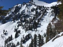 Main bowl of Tallac with previous loose wet activity.