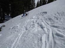 Comparison snowpit. Two previous pits in foreground.