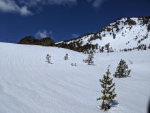 Runnels on the snow surface indicating water draining through the snowpack.