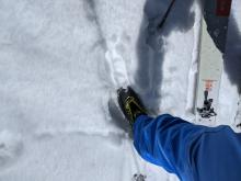 Boot top deep wet snow at 8500 ft. at 10:30 am.