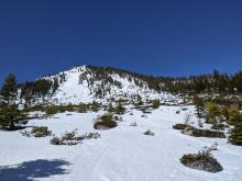 Overview of the east side of Jakes above 7200 ft. 