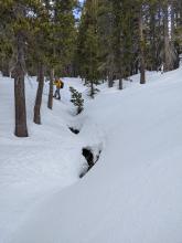 Open creeks with flowing water prior to the start of today's melt cycle.