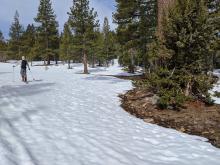 Snowcover starting to increase at 7,000'.