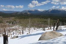 The exit from Echo Peak requires some whitethorn wrangling and dirt walking. 