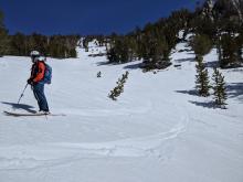 Punchy wet snow on the S/SE aspects (looker's left) - Still ski supportable snow on the SW aspect (looker's right)