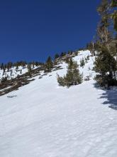 A mix of wet spring snow and melted out areas on southerly aspects at 8600 ft.