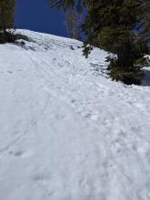 A ski cut on a small test slope triggered a small loose wet slide involving the top 6 inches of snow.