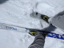 Shin deep wet snow on an E aspect at 9000 ft. at 11 am.