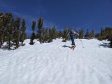 The beginnings of sun cups on the snow surface.